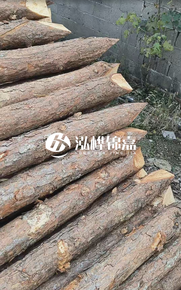 松木樁哪里能大量供應(yīng)？4米20公分松木樁價格是多少？