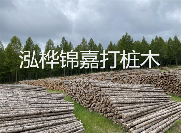杉木板2cm多少錢一平方？