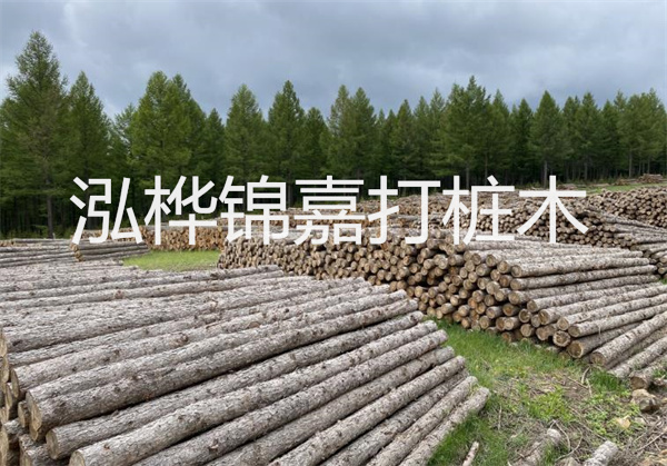 桐木板材和松木板材哪個(gè)好-如何選擇適合自己的木板材料？