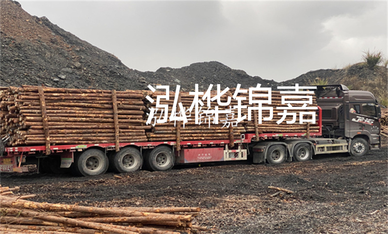 河道杉木樁保護(hù)生態(tài)環(huán)境，促進(jìn)河道治理