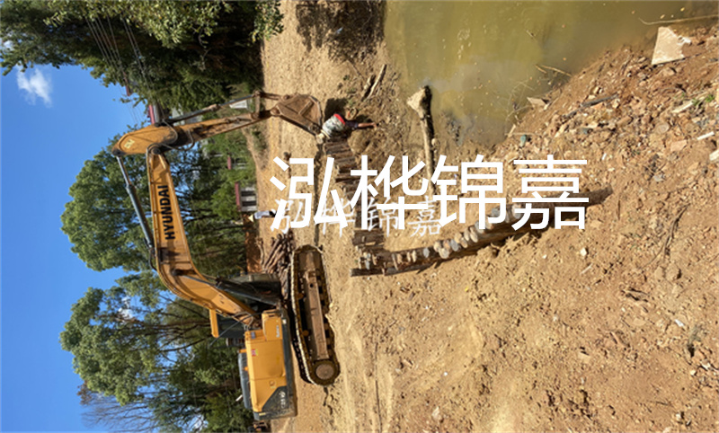 為什么松樹和云杉不能種在一起？