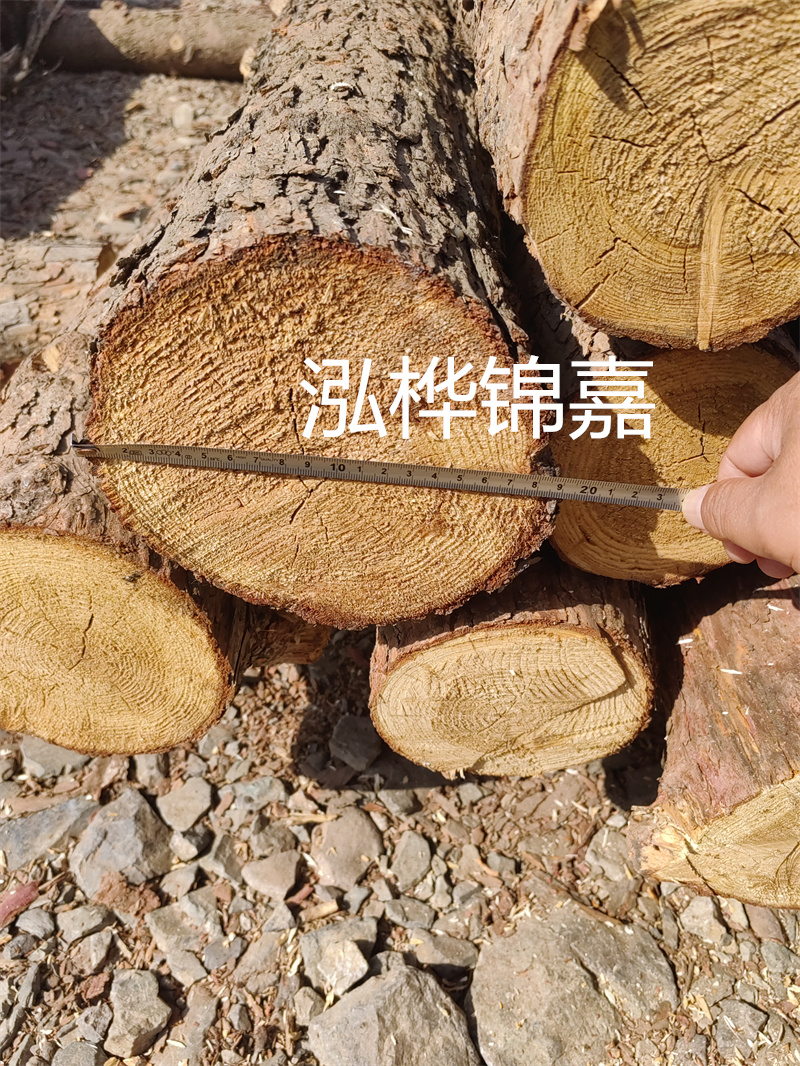 杉木結(jié)實(shí)還是松木結(jié)實(shí)？- 選擇適合您需求的木材